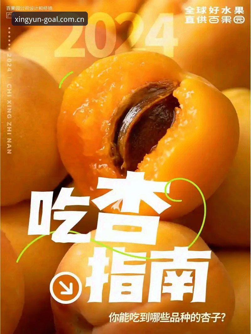 杏运体育平台2025新版安装完整指南：从选择到上手的决策手册